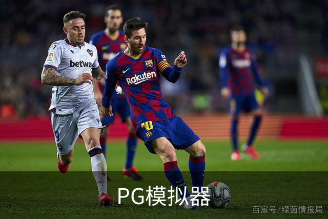 PG模拟器公司简介图片